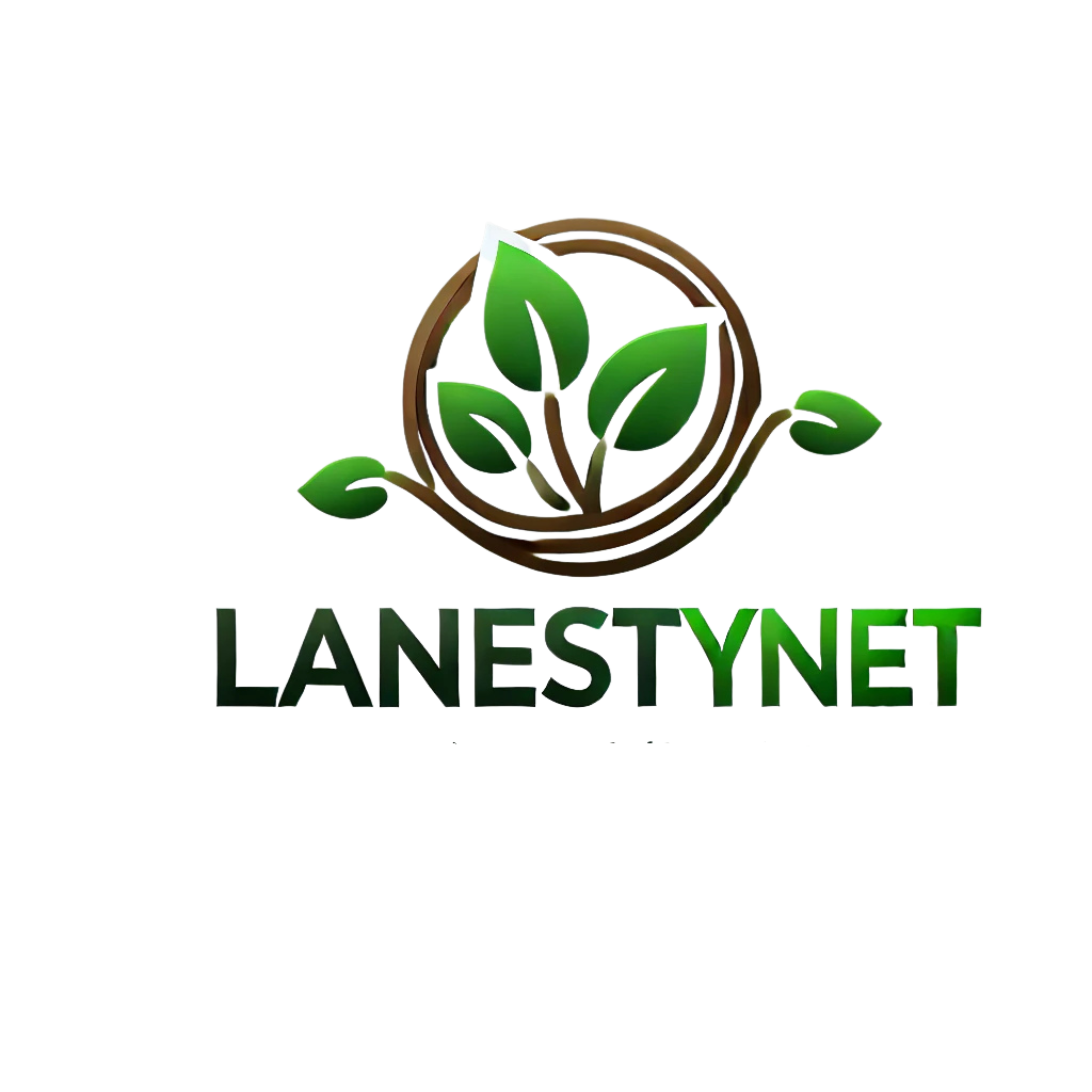 LanestyNet